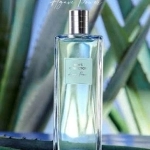 6044 Oriflame – Nước hoa nam Men’s Collection Agave Power Eau De Toilette 100ML