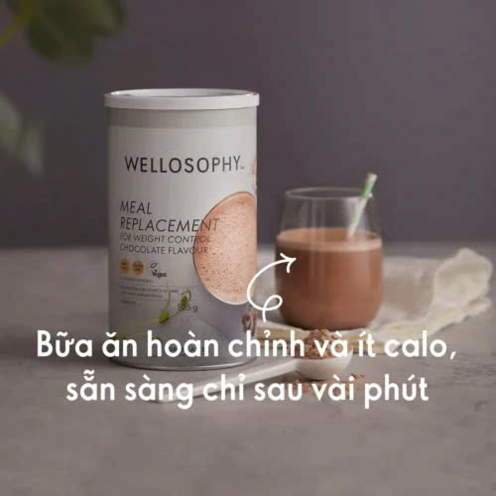 Thực phẩm bổ sung Natural Balance Shake - Vanilla 29690 hộp 378g
